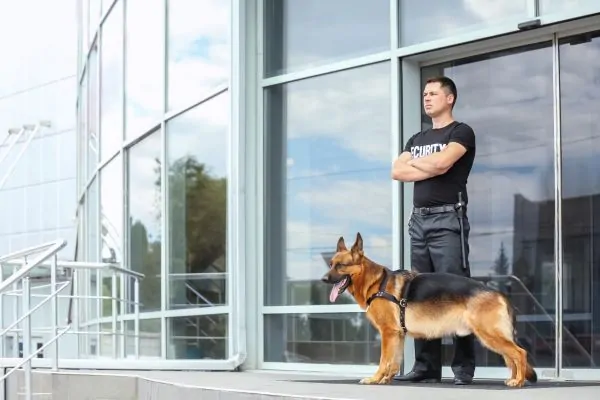 a security guard with security dog partner